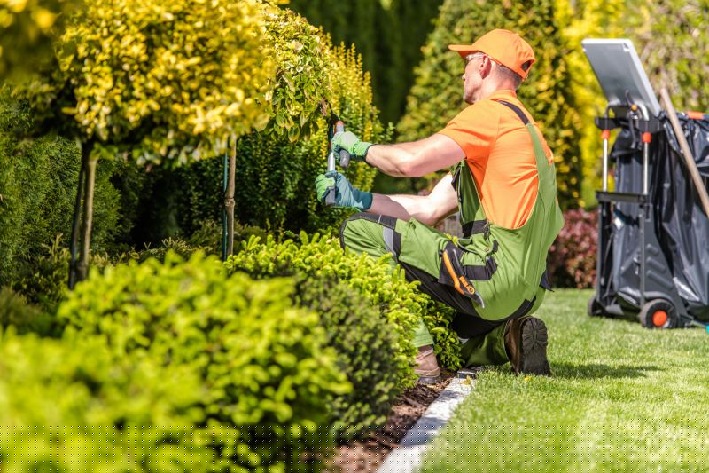 Seasonal Landscaping Offers