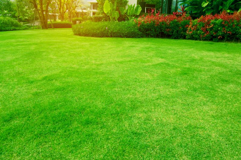 Finished Landscape with Lawn