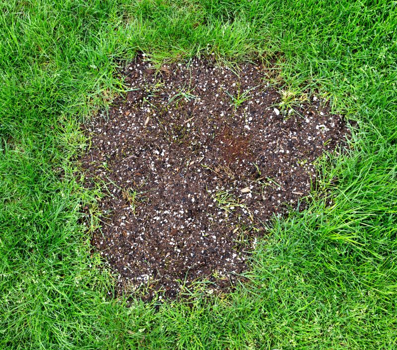 Lawn Rut Repair