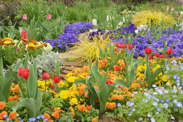 Garden Renovation in Clearfield