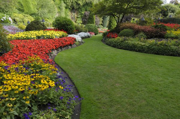 Landscaping Maintenance in Clearfield