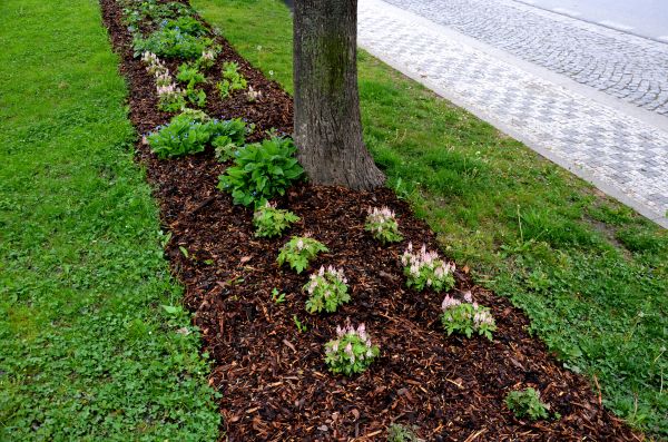 Mulch Replacement Service in Clearfield