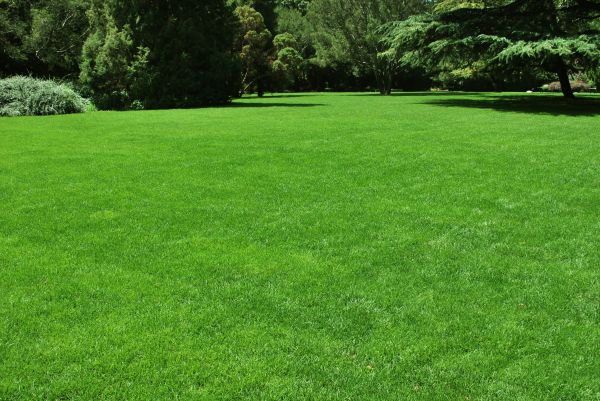 Lawn Landscaping in Clearfield