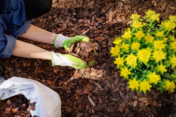 Garden Mulching in Clearfield