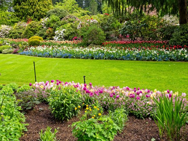 Residential Landscape Design in Clearfield