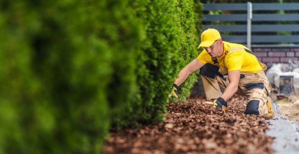 Cypress Mulch Installation in Clearfield