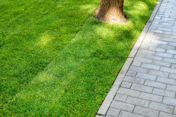 Border Stone Installation in Clearfield