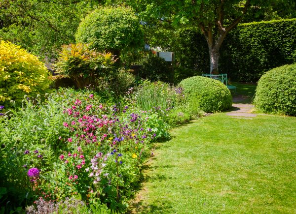 Yard Landscaping Service in Clearfield