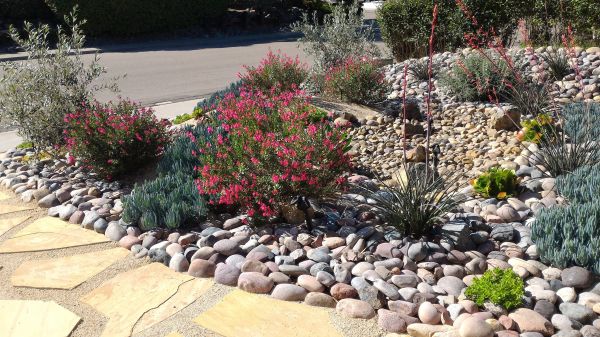 Xeriscape Landscaping in Clearfield