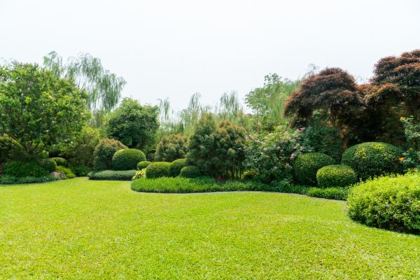 Tree Landscaping in Clearfield
