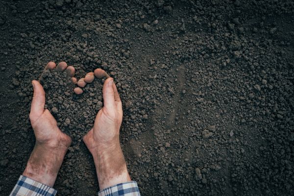 Soil Installation in Clearfield