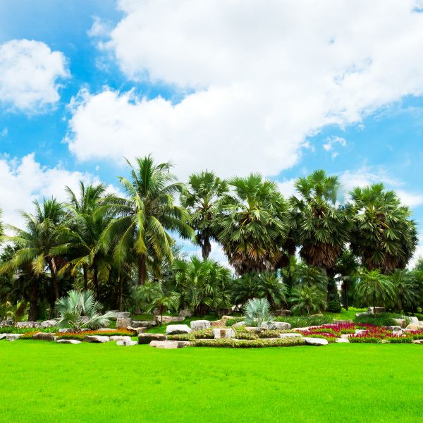 Tropical Landscaping in Clearfield