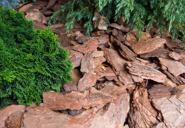 Pine Bark Installation in Clearfield