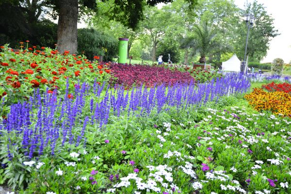 Perennials Planting in Clearfield