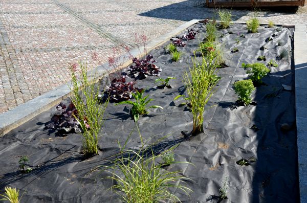 Landscape Fabric Installation in Clearfield