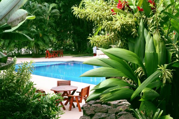 Pool Area Landscaping in Clearfield