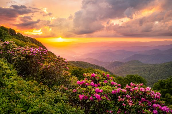 Hill Landscaping in Clearfield