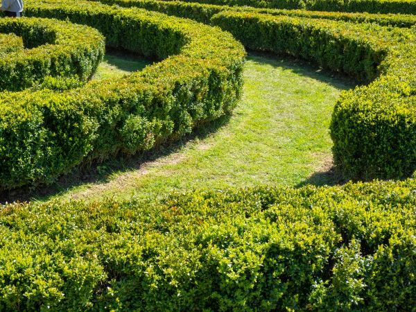 Bush Landscaping in Clearfield