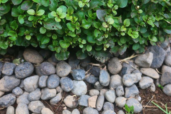 River Stone Installation in Clearfield