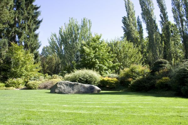 Yard Enlargement in Clearfield