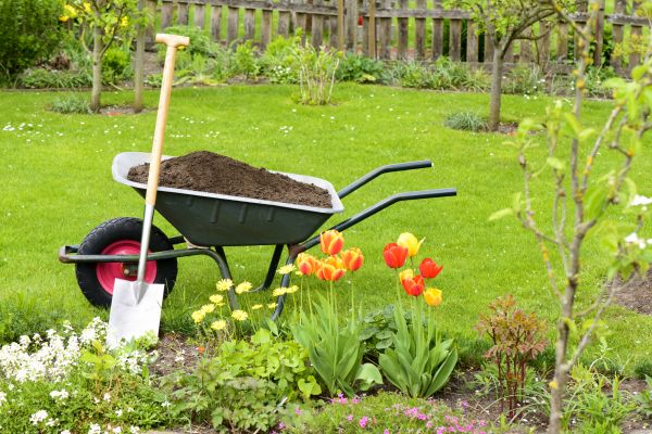Spring Yard Renovation in Clearfield
