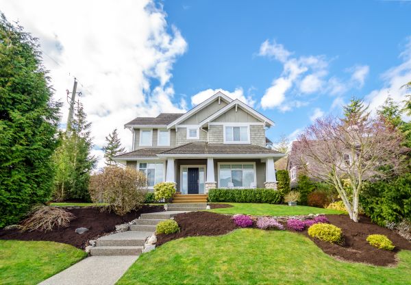 Landscaping Replacement in Clearfield