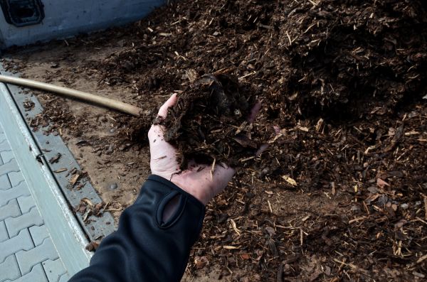 Condo Mulching in Clearfield