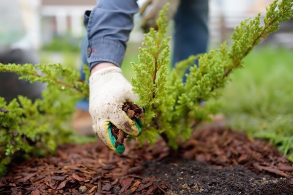 Church Mulching in Clearfield